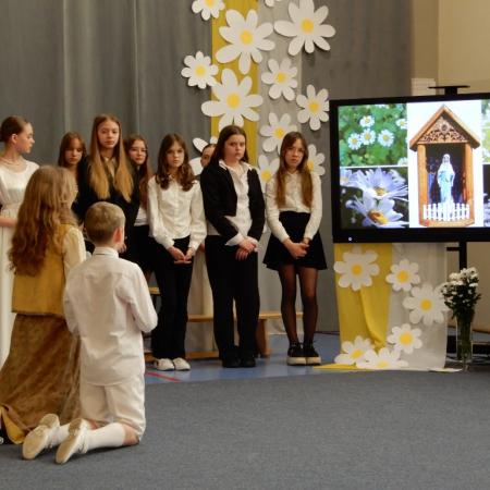 Wyświetl org. rozmiar