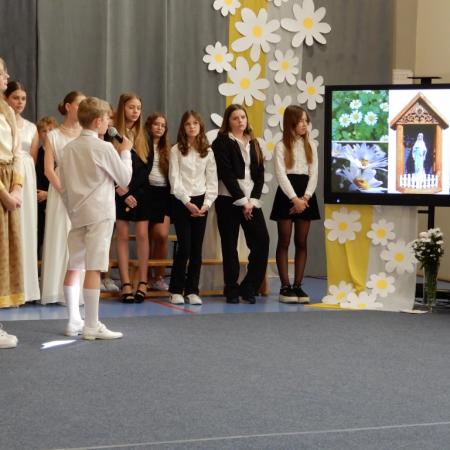 Wyświetl org. rozmiar