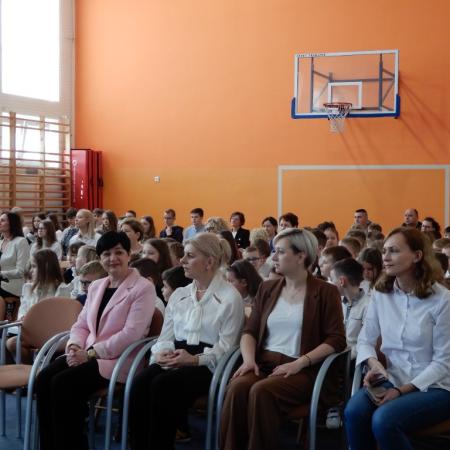 Wyświetl org. rozmiar