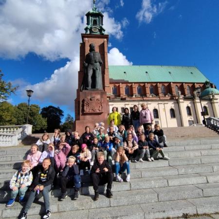 Wyświetl org. rozmiar