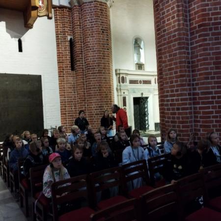 Wyświetl org. rozmiar