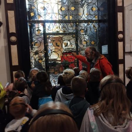 Wyświetl org. rozmiar