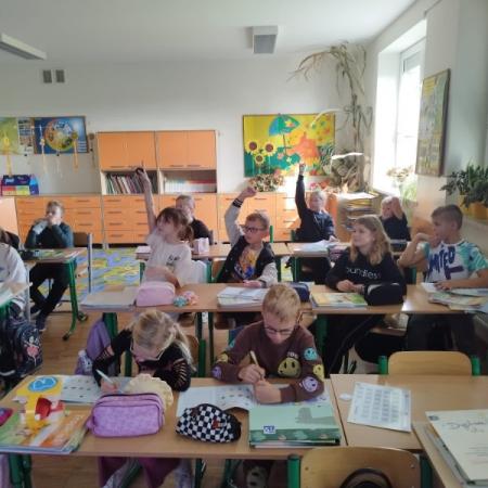 Wyświetl org. rozmiar