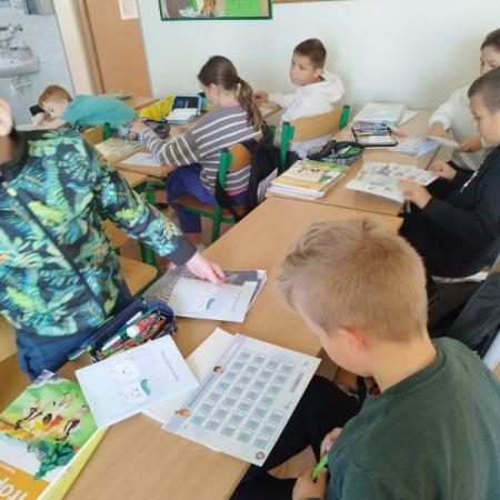 Wyświetl org. rozmiar