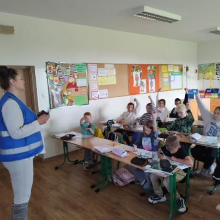 Wyświetl org. rozmiar