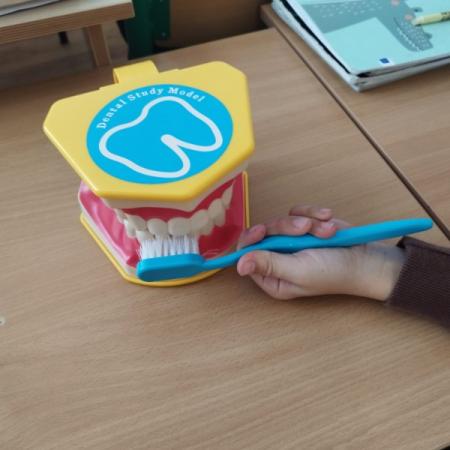 Wyświetl org. rozmiar