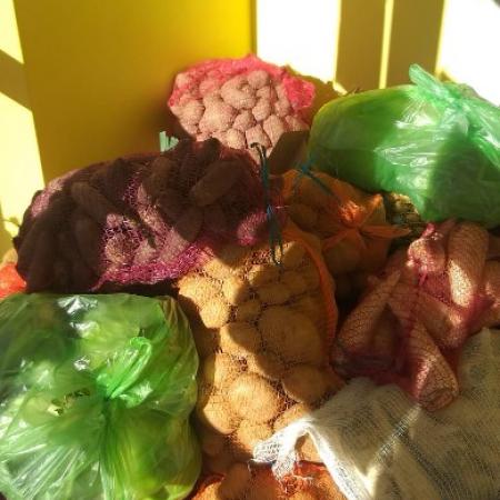 Wyświetl org. rozmiar