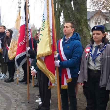 Wyświetl org. rozmiar