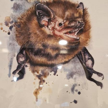 Wyświetl org. rozmiar