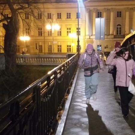 Wyświetl org. rozmiar