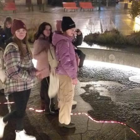 Wyświetl org. rozmiar