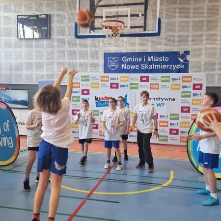 Wyświetl org. rozmiar