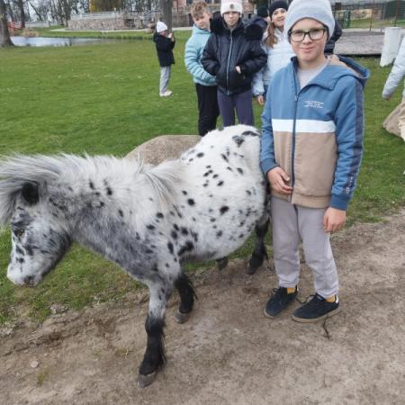 Wyświetl org. rozmiar