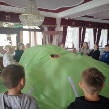 Wyświetl org. rozmiar