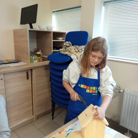 Wyświetl org. rozmiar