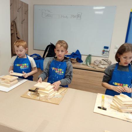 Wyświetl org. rozmiar