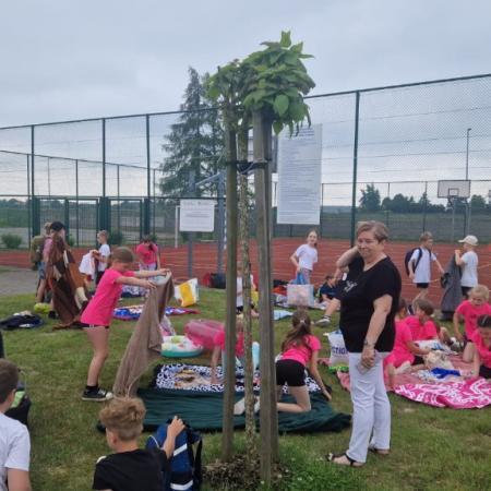 Wyświetl org. rozmiar