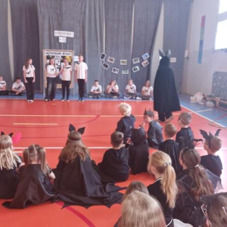 Wyświetl org. rozmiar