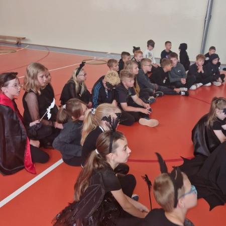 Wyświetl org. rozmiar