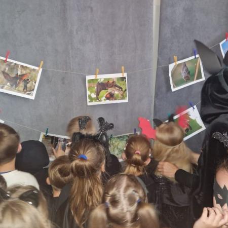 Wyświetl org. rozmiar