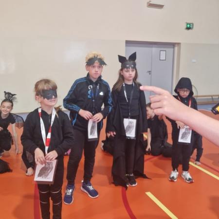 Wyświetl org. rozmiar