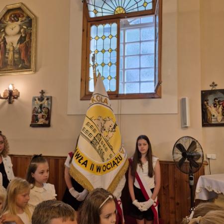 Wyświetl org. rozmiar