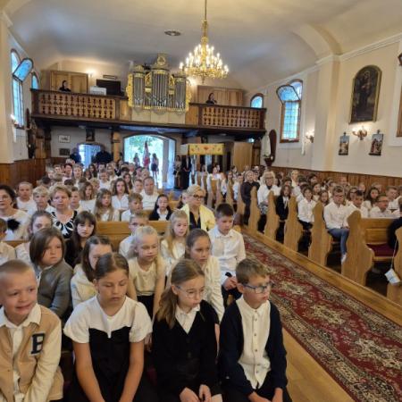 Wyświetl org. rozmiar