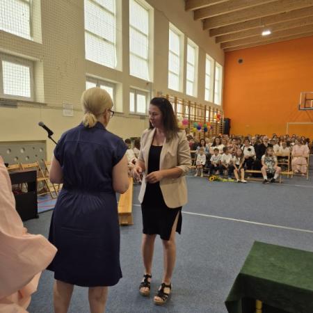 Wyświetl org. rozmiar