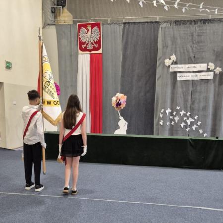 Wyświetl org. rozmiar