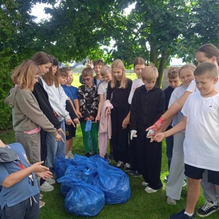 Wyświetl org. rozmiar