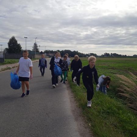 Wyświetl org. rozmiar