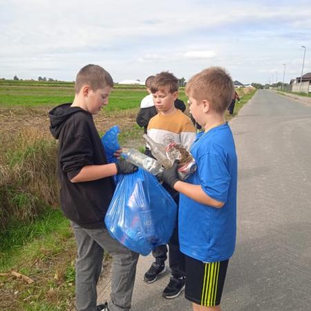 Wyświetl org. rozmiar