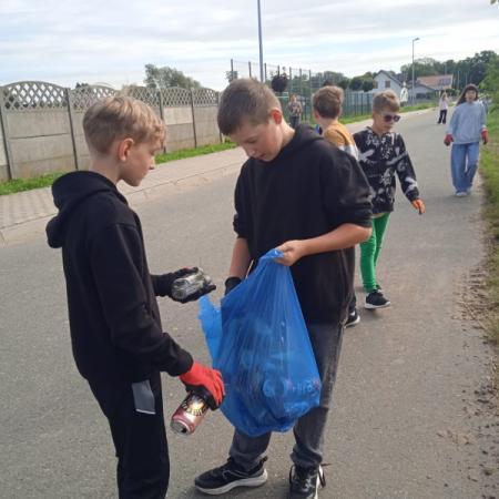 Wyświetl org. rozmiar