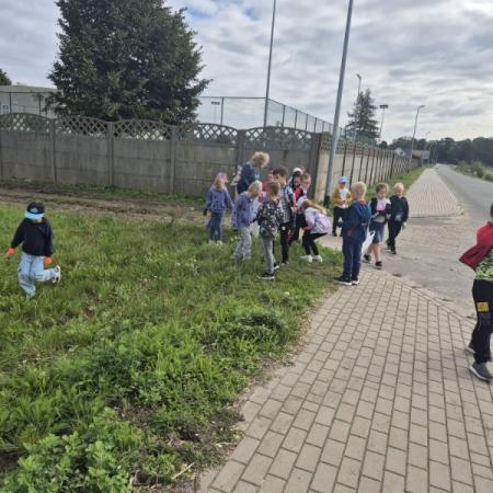 Wyświetl org. rozmiar