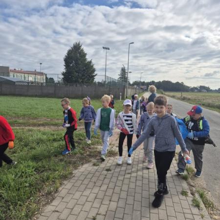 Wyświetl org. rozmiar