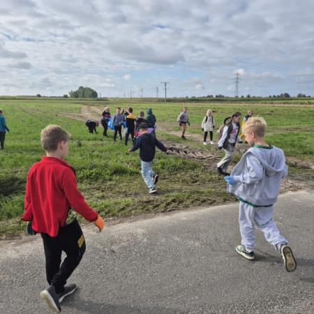 Wyświetl org. rozmiar