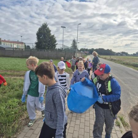 Wyświetl org. rozmiar