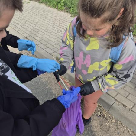 Wyświetl org. rozmiar