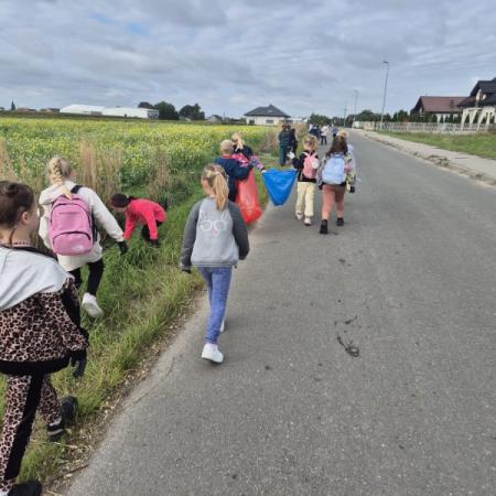 Wyświetl org. rozmiar