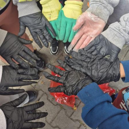 Wyświetl org. rozmiar