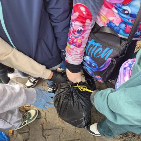 Wyświetl org. rozmiar