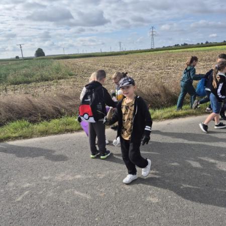 Wyświetl org. rozmiar