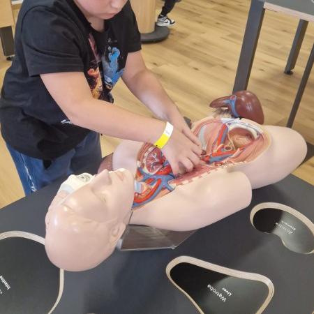 Wyświetl org. rozmiar