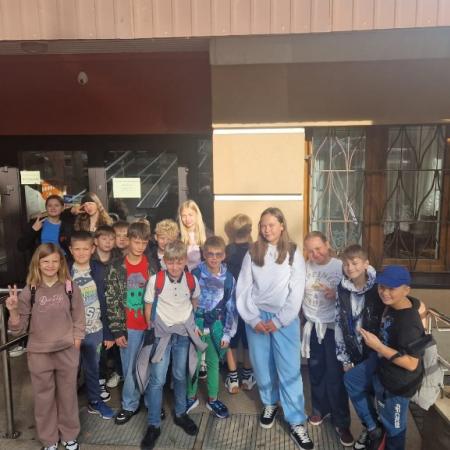 Wyświetl org. rozmiar