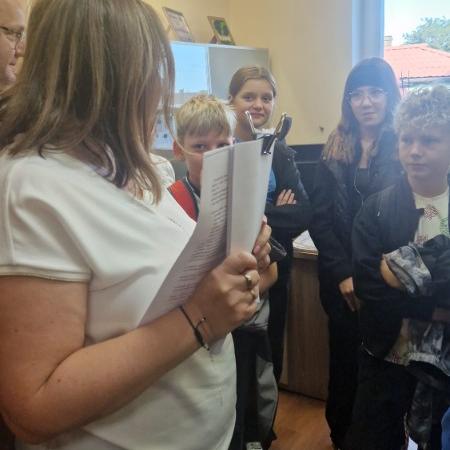 Wyświetl org. rozmiar