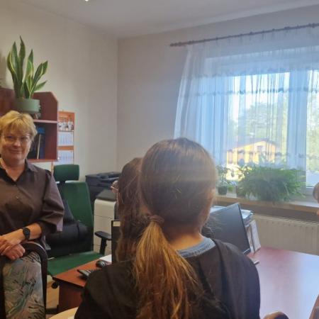 Wyświetl org. rozmiar