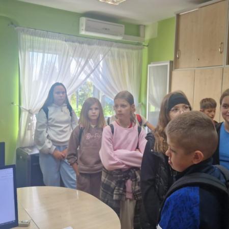 Wyświetl org. rozmiar