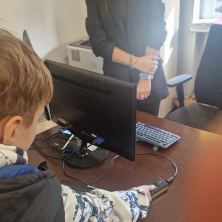 Wyświetl org. rozmiar