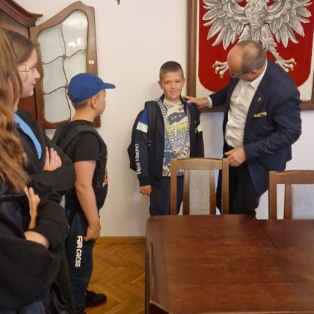 Wyświetl org. rozmiar