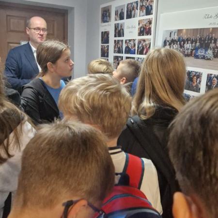 Wyświetl org. rozmiar